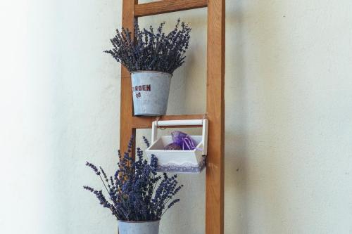 a wooden shelf with two potted plants on a wall at Music Time Apartment in Imotski