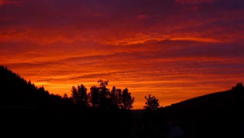 a sunset with trees in the foreground at Ferienhaus Broche in Hilchenbach