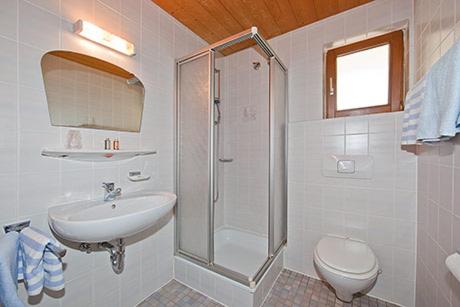 ein Bad mit einer Dusche, einem Waschbecken und einem WC in der Unterkunft Alpenhof Klais in Klais