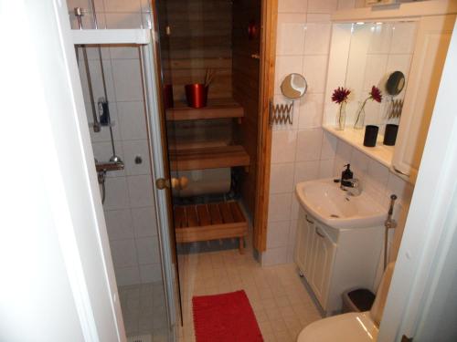 Baño pequeño con aseo y lavamanos en RöhköStar 109 en Äkäslompolo
