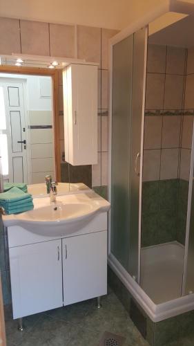 a bathroom with a sink and a shower at apartmani Vesna in Pinezici