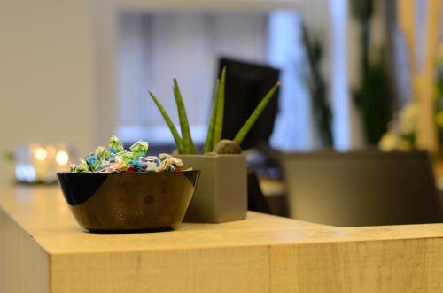 two potted plants sitting on top of a counter at Amosa Liège City Centre Hotel in Liège