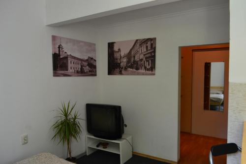 un televisor en un stand en una habitación con dos fotos en ART ApartmenT, en Ternopilʼ