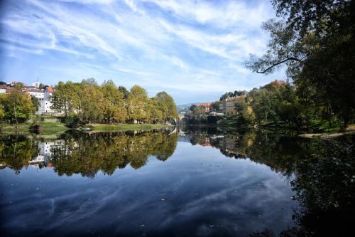 a view of a river with trees and buildings at Hotel Navarras in Amarante