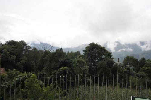 a fence with trees and clouds in the background at Vamoose Gomethang Homestay in Sosing