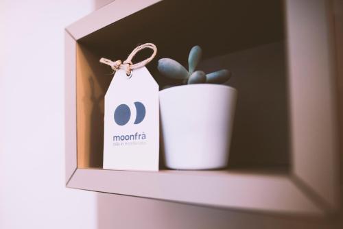 a white container with a plant in it on a shelf at Moonfrà in Antignano