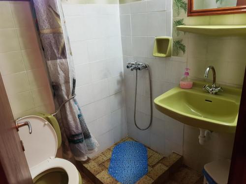 a bathroom with a shower and a toilet and a sink at Villa Ourania in Troulos