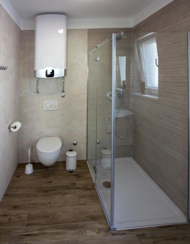 a bathroom with a shower and a toilet at Villa vista sul Quarnero in Matulji