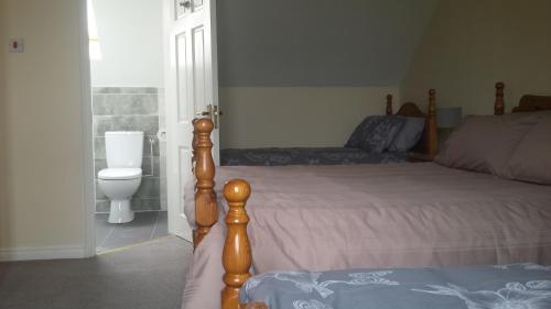 a bedroom with a bed and a toilet at Cloonboo Lodge on Wild Atlantic Way Sleeps 12 in Galway