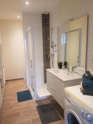 une salle de bain avec un lavabo et une machine à laver dans l'établissement Gite Saint Nicolas, à Paray-le-Monial