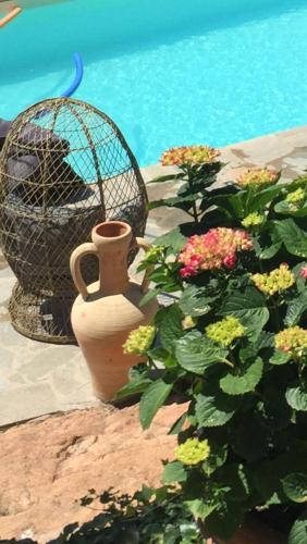 two vases and flowers next to a swimming pool at Residence Paradisu Ajaccio in Appietto