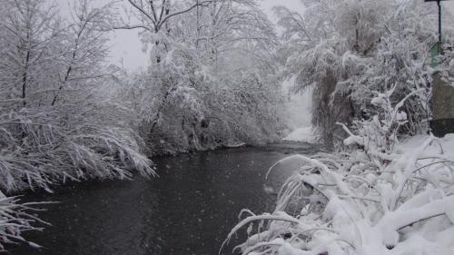 a river with snow on the branches of trees at Riverview apartment Three Springs Tri Zvira in Zamost