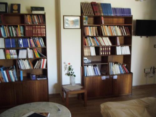 a living room with two book shelves filled with books at Niki Apartments in Ýpsos