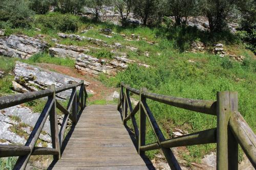 a wooden bridge over a grassy hill with a field at Quinta Sao Martinho in Reguengo Grande