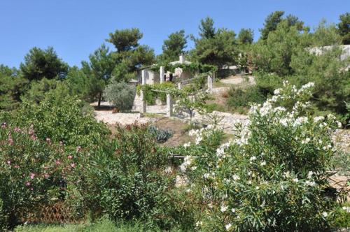 Gallery image of Arsinoi Stonehouses in Limenaria