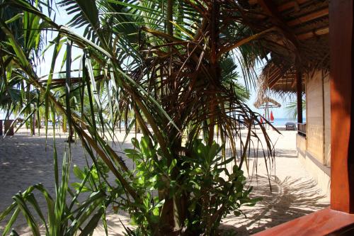a palm tree in front of a beach with a building at Shiva's Beach Cabanas in Tangalle