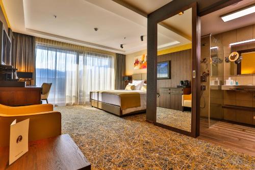 فندق زيتا في بودفا: غرفة الفندق بسرير ومرآة
