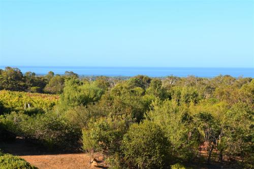 a field of trees and bushes with the ocean in the background at Surinam in Dunsborough