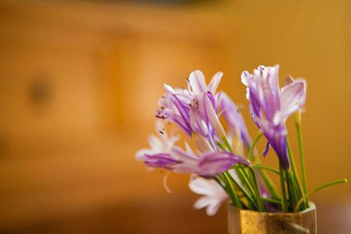 a vase filled with purple and white flowers at Benichuta in Mitzpe Hila