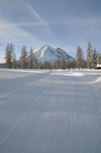 a snow covered field with a mountain in the background at Apartmenthaus Bader in Leutasch