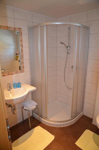 a bathroom with a shower and a sink at Apartmenthaus Bader in Leutasch