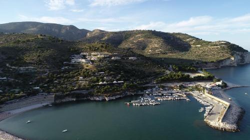 una vista aerea di un porto con barche in acqua di Holiday Lodge al Porto a Mattinata