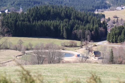 an aerial view of a field with a pond at Ferienwohnung Höbart in Dorfstetten