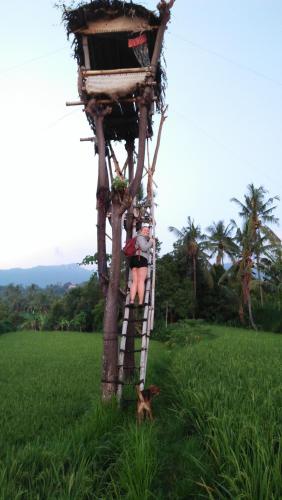 a person on a tree house in a field at ESA di Kubu Homestay in Singaraja