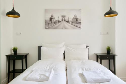 Luxury Apartment by Hi5 - Régiposta 1052 Budapest, Régiposta utca 7-9 kép - 3