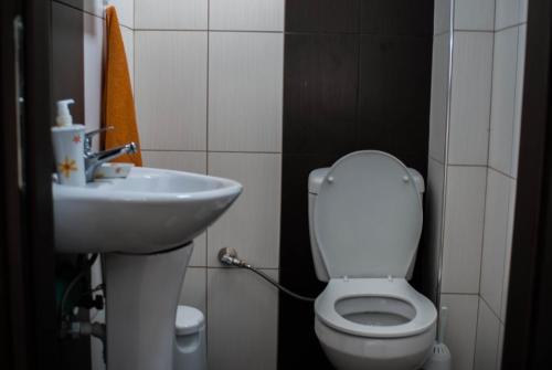 a bathroom with a toilet and a sink at Plaka Luxury Villa in Litochoro