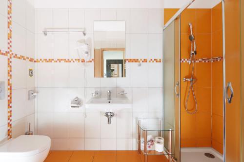 W łazience znajduje się prysznic, umywalka i toaleta. w obiekcie Hotel Albatros w mieście Přední Výtoň