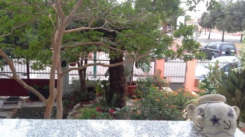 Jardín al aire libre en Prama 'e Mari