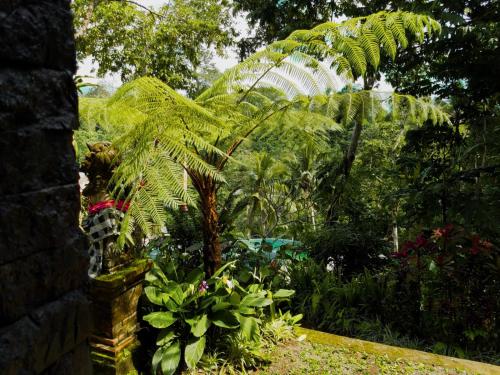 a palm tree and other plants in a garden at Angsoka Bungalow in Ubud
