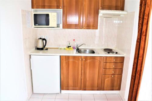 a small kitchen with a sink and a microwave at Pension Kohler in Deštné v Orlických horách