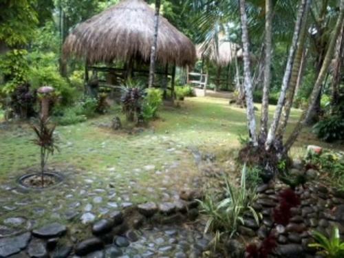 a garden with a hut with a creek in it at Bambua Nature Cottages in Puerto Princesa City