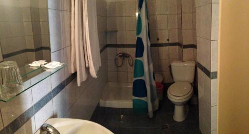 uma casa de banho com um WC e uma cortina de chuveiro em Avra Inn em Mesolongion