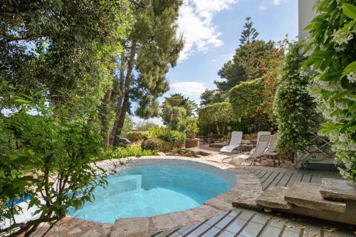 basen na dziedzińcu z krzesłami i drzewami w obiekcie Amoredimare B&B in Villa w mieście Polignano a Mare
