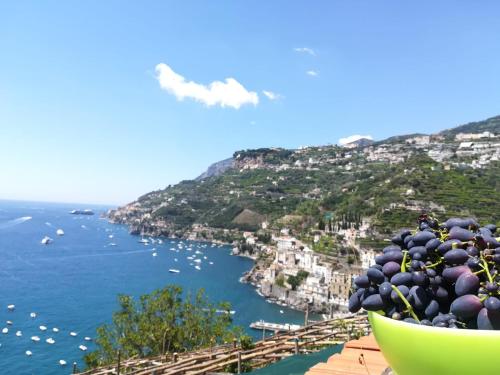 a bowl of grapes sitting on a ledge overlooking the ocean at Casa San Michele in Minori
