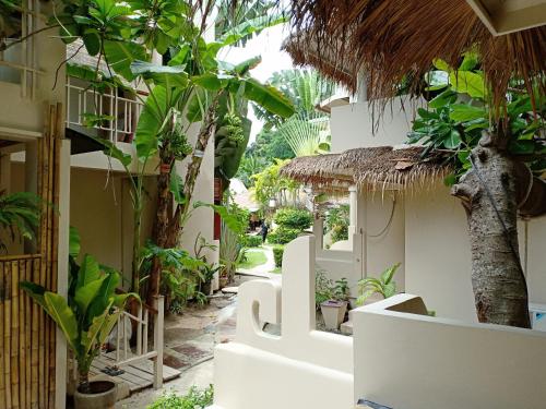 a courtyard of a hotel with trees and plants at Mama Beach Residence - Adults Only in Phi Phi Don