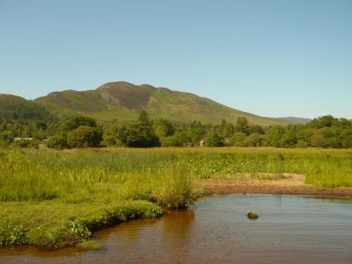 a river in a field with mountains in the background at Birchwood Guest Lodge in Balmaha