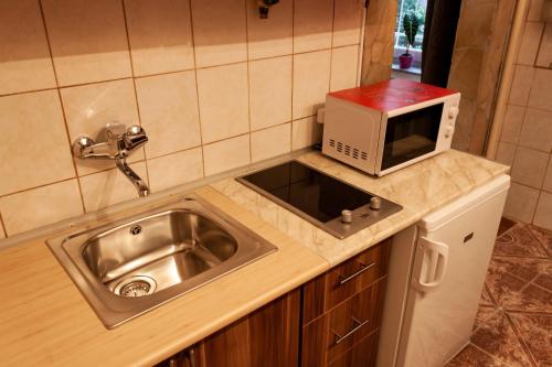 una cocina con fregadero y microondas en una encimera en Happy Turtle Apartments, en Budapest