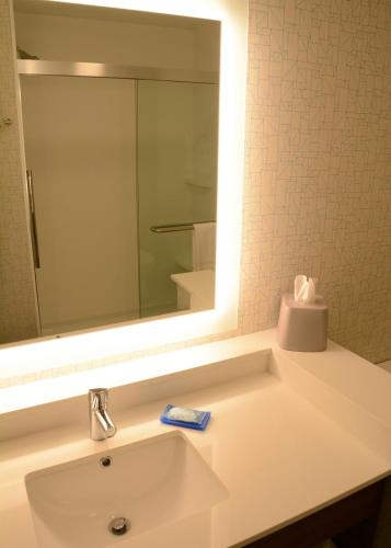 a bathroom with a sink and a mirror at Holiday Inn Express & Suites - Pittsburgh - Monroeville by IHG in Monroeville
