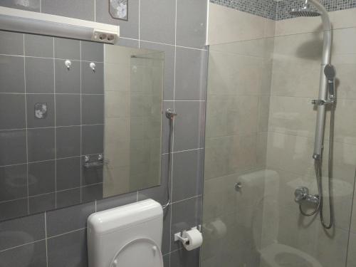 a bathroom with a shower and a toilet and a glass shower door at Murter Inn in Murter