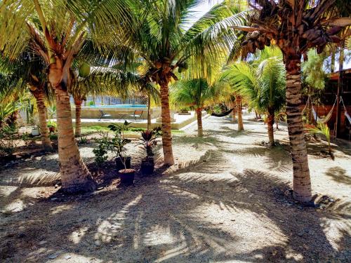a group of palm trees on a sandy beach at Guacamayo Rooms & Bungalows in Máncora