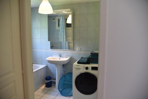 une salle de bain avec un lavabo et une machine à laver dans l'établissement Le brin d'osier, à Kaysersberg