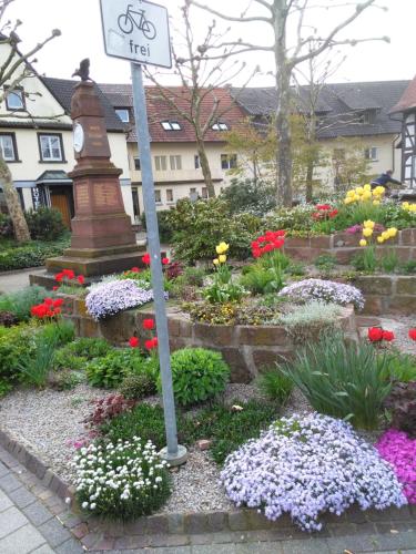 Ảnh trong thư viện ảnh của Hotel am Hindenburgplatz ở Appenweier