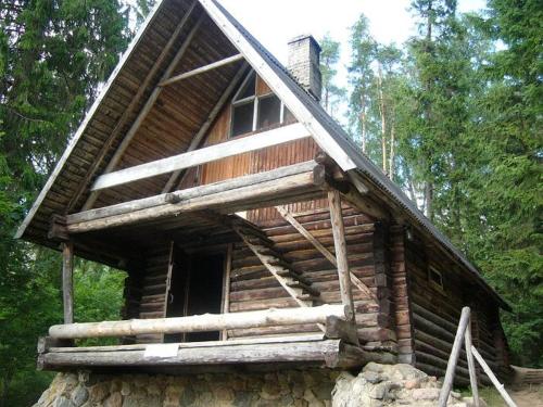 a log cabin in the woods with a window at Annimatsi Camping in Otepää
