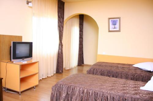 a hotel room with two beds and a television at Vila Delta Travel - Mila 23 in Mila Douăzeci şi Trei