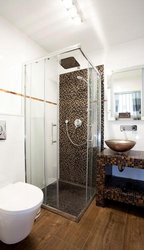 a bathroom with a shower with a toilet and a sink at Ellena`s FEWO am Uke in Hamburg