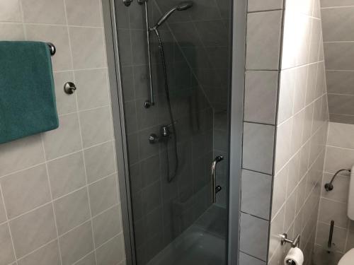 een douche met een glazen deur in de badkamer bij Friesenhof 8G in Grömitz